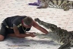 Свежие гифки