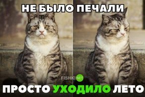Картинки с надписями для настроения