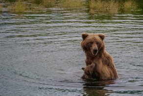 Фотоподборка за 15.08.2018
