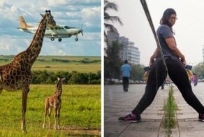 25 коварных фотографий, на которых происходит одно, а видится совершенно другое