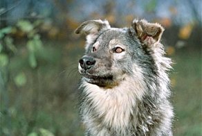 Актёры и партнёры