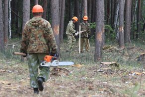 Специфическое чувство юмора