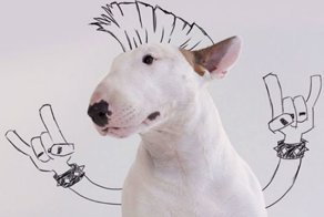 Жена бросила его, оставив пустую квартиру и собаку