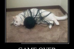 Сборник демотиваторов