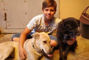 Пятиклассник продавал лимонад на улице, чтобы вылечить пса