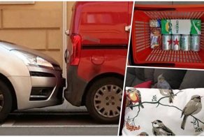 25 фотографий, глядя на которые хочется сказать только одно слово: идеально!