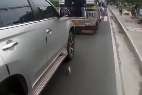 Мотоциклист спас котёнка на оживлённой дороге и нашёл ему дом