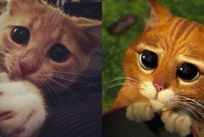 Эти глаза напротив