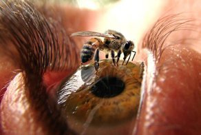 Фотошоп или нет: 20+ невероятных фотографий, вокруг которых не умолкают споры