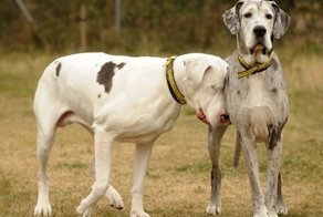 Если с другом вышел в путь