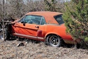 Mustang "Little Red" от Shelby простоял 20 лет под открытым небом