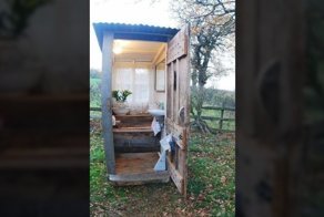 Мир полон удивительного: самые необычные сортиры