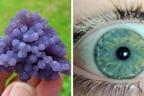 20 фотодоказательств того, что природа легко может удивить даже тех, кто считает, что видел всё