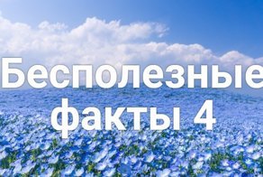 Интересные факты обо всем на свете