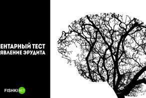 Элементарный тест, который завалит 75% людей