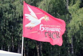 Большие гуси 2018