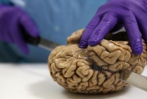 Ненужное барахло в вашей голове, от которого лучше избавиться