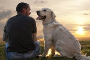 10 распространенных мифов о собаках, которые давно пора развеять