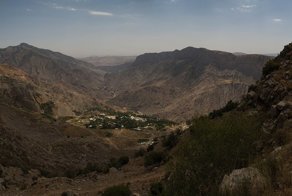 У меня лапки: в Узбекистане нашли следы динозавров