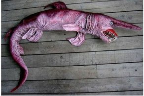 Удивительные животные нашей планеты