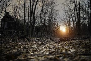 Фотограф раскрывает темную сторону Нью-Йорка