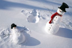 25 самых смешных вариантов того, как сделать зиму лучше
