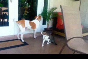 Гифки о дружбе