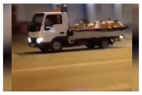 Джакузи по-сочински: полуголые мужики устроили бассейн в кузове грузовика