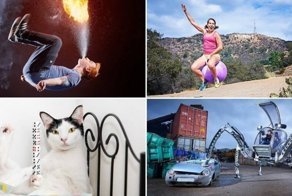 Самые чудные рекорды Гиннесса за год