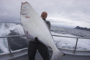 Рыбак выловил в море палтуса, но тот сорвался с крючка