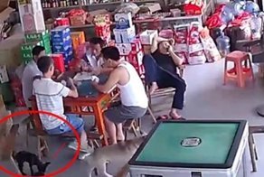Мохнатый преступник утащил кошелёк, выпавший из кармана китайца