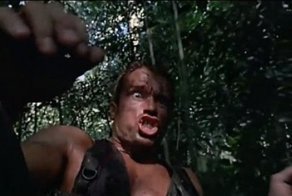 Пес набросился на воздуходувку и стал похож на пришельца из фильма "Хищник"