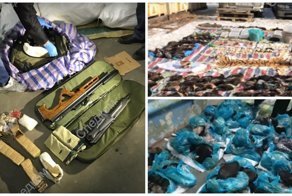 Контрабандистка вывозила редких животных из России по частям