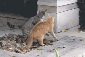 Добавлю свои пять копеек