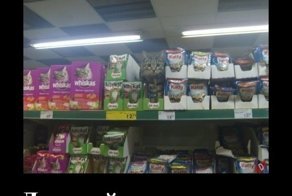 Свежая подборка демотиваторов, которые поднимут вам настроение