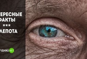 Факты о слепоте. Подборка интересностей
