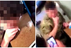 Видео: британский военнослужащий нюхает кокаин