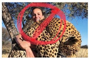 Селебрити ополчились на убийцу леопарда и запустили флешмоб c хештегом #найдитеэтусуку