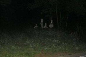 Детский голос довёл до ужаса жителей Ипсуича