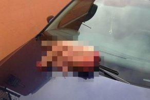 Полицейские собирали остатки человеческого тела по всему городу