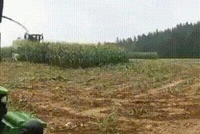 Прикольные гифки