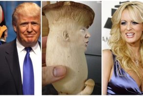 Маленький, как гриб: Скандальные откровения бывшей любовницы Трампа