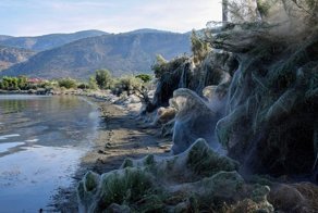 Полчища пауков оккупировали пляж греческого острова Айтолико