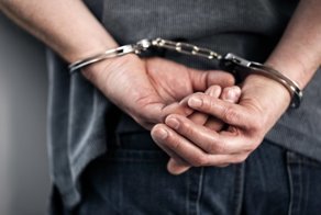 Воришка сдался полицейским из-за злых комаров