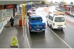 Спасенная собака устроила эпичный побег от волонтера