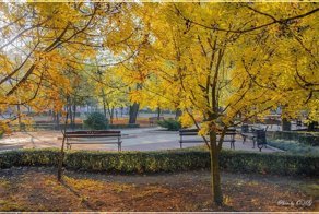 Из Донецка с любовью: осень