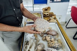 В Индии открылся Музей мозга, в котором экспонаты можно потрогать