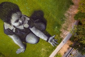 Что можно увидеть, если вы птица