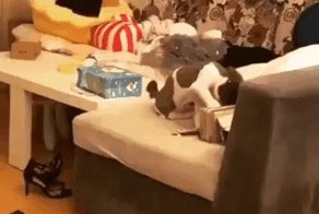 Накопились гифки, надо поделиться