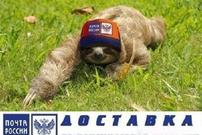 Самая быстрая доставка